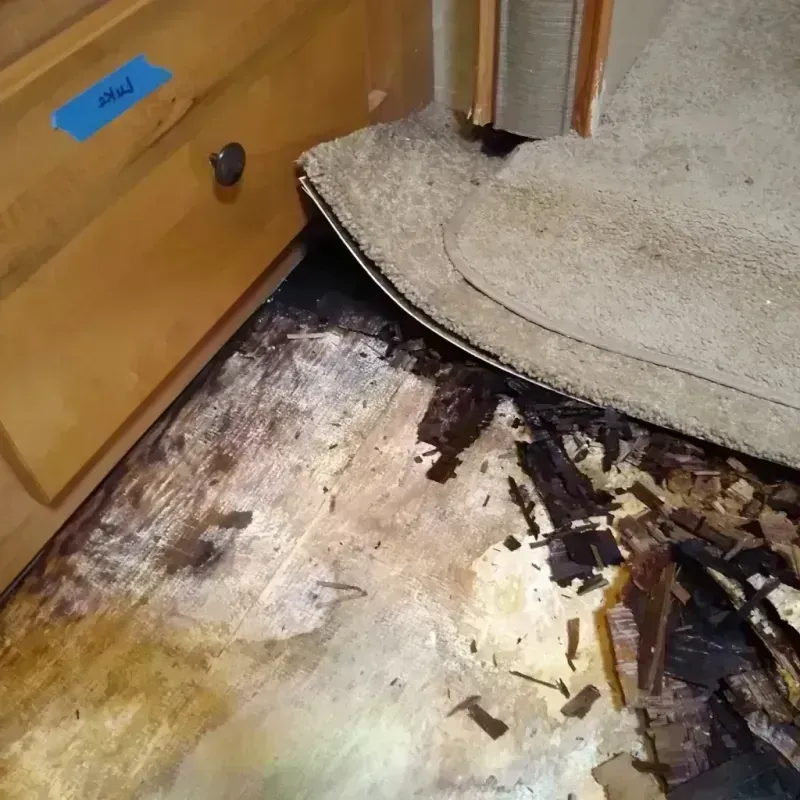 Best Wood Floor Water Damage Service in Sheboygan, WI